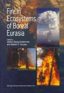 Fire in Ecosystems of Boreal Eurasia di J. G. Goldammer edito da Springer Netherlands