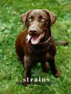 Strains: Cannabis Tasting Journal Chocolate Labrador di Black Dog House Publishing edito da INDEPENDENTLY PUBLISHED