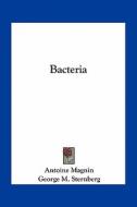 Bacteria di Antoine Magnin, George M. Sternberg edito da Kessinger Publishing
