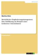 Betriebliches Eingliederungsmanagement. Eine Einführung am Beispiel eines konkreten Unternehmens di Martina Klein edito da GRIN Verlag