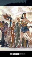 Absolute DC: The New Frontier 15th Anniversary Edition di Darwyn Cooke edito da D C COMICS