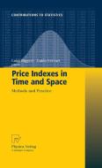 Price Indexes in Time and Space edito da Physica Verlag