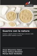 Guarire con la natura di Ansar Bilyaminu Adam, Musa Yahaya Abubakar, Mariya Nasir Danbatta edito da Edizioni Sapienza