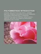 Polyommatinae Introduction di Books Llc edito da Books LLC, Reference Series