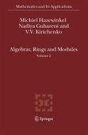 Algebras, Rings and Modules: Volume 2 di Michiel Hazewinkel, Nadiya Gubareni, V. V. Kirichenko edito da SPRINGER NATURE