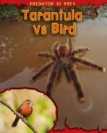 Tarantula vs Bird di Mary Meinking edito da Capstone Global Library Ltd