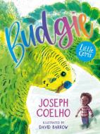 Budgie di Joseph Coelho edito da Barrington Stoke Ltd