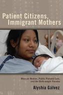 Patient Citizens, Immigrant Mothers: Mexican Women, Public Prenatal Care, and the Birth-Weight Paradox di Alyshia Galvez edito da RUTGERS UNIV PR