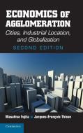 Economics of Agglomeration di Masahisa Fujita, Jacques-Francois Thisse edito da Cambridge University Press