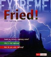 Fried!: When Lightning Strikes di Kay Barnham edito da Fact Finders