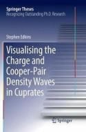Visualising the Charge and Cooper-Pair Density Waves in Cuprates di Stephen Edkins edito da Springer International Publishing