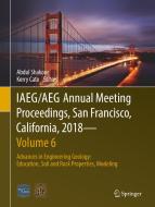 IAEG/AEG Annual Meeting Proceedings, San Francisco, California, 2018-Volume 6 edito da Springer-Verlag GmbH