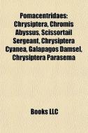 Pomacentridaes: Chrysiptera, Chromis Aby di Books Llc edito da Books LLC