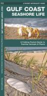 Gulf Coast Seashore Life: An Introduction to Familiar Plants and Animals di James Kavanagh edito da Waterford Press