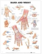 Hand And Wrist Anatomical Chart edito da Anatomical Chart Co.