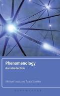 Phenomenology di Michael Lewis, Tanja Staehler edito da Continuum Publishing Corporation