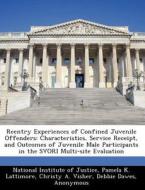 Reentry Experiences Of Confined Juvenile Offenders di Pamela K Lattimore, Christy A Visher edito da Bibliogov