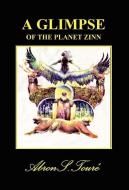 A Glimpse of the Planet Zinn di Abron S. Touri, Abron S. Toure edito da E BOOKTIME LLC