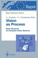 Vision as Process di Andrew Marston, Maryse Hostettmann edito da Springer Berlin Heidelberg