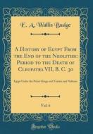 A History of Egypt from the End of the Neolithic Period to the Death of Cleopatra VII, B. C. 30, Vol. 6: Egypt Under the Priest-Kings and Tanites and di E. a. Wallis Budge edito da Forgotten Books