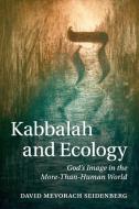 Kabbalah and Ecology di David Mevorach Seidenberg edito da Cambridge University Press