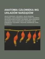 Anatomia Cz Owieka Wg Uk Adow Narz Dow di Rod O Wikipedia edito da Booksllc.net
