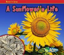 A Sunflower's Life di Nancy Dickmann edito da HEINEMANN LIB