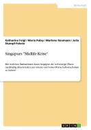 Singapurs "Midlife-Krise" di Katharina Feigl, Maria Pulay, Marlene Reumann, Julia Stumpf-Fekete edito da GRIN Verlag