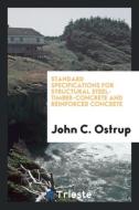 Standard Specifications for Structural Steel, Timber, Concrete and ... di John C. Ostrup edito da LIGHTNING SOURCE INC