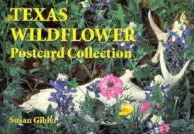 Texas Wildflower Postcard Collect di DREW edito da Motorbooks International