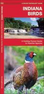 Indiana Birds: An Introduction to Familiar Species di James Kavanagh edito da Waterford Press