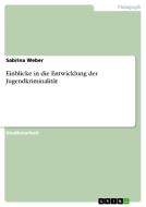 Einblicke in die Entwicklung der Jugendkriminalität di Sabrina Weber edito da GRIN Verlag