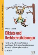Diktate und Rechtschreibübungen di Ursula Lassert edito da Brigg Verlag KG