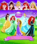 Meet the Princesses di Andrea Posner-Sanchez edito da Random House Disney