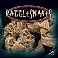 Rattlesnakes di Ted O'Hare edito da Rourke Publishing (FL)