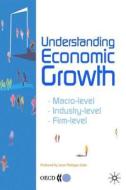 Understanding Economic Growth di #Oecd: Organisation For Economic Co-operation And Development edito da Palgrave Usa