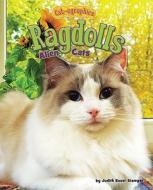 Ragdolls: Alien Cats di Judith Bauer Stamper edito da BEARPORT PUB CO INC