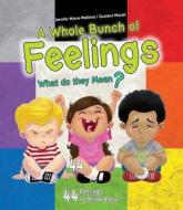 A Whole Bunch of Feelings: What Do They Mean? di Jennifer Moore-Mallinos, Gustavo Mazali edito da BES PUB