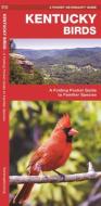 Kentucky Birds: A Folding Pocket Guide to Familiar Species di James Kavanagh, Waterford Press edito da Waterford Press