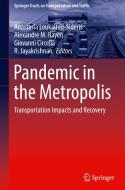 Pandemic in the Metropolis edito da Springer International Publishing