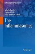 The Inflammasomes edito da Springer Basel AG