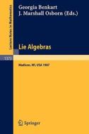 Lie Algebras edito da Springer Berlin Heidelberg