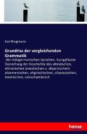 Grundriss der vergleichenden Grammatik di Karl Brugmann edito da hansebooks