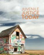 Juvenile Justice Today di Gennaro Vito, Julie Kunselman edito da Pearson Education (US)