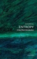 Entropy di James Binney edito da Oxford University Press