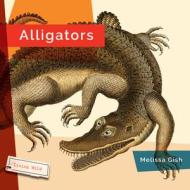 Alligators di Melissa Gish edito da CREATIVE ED & PAPERBACKS