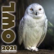 The Owl 2021 Mini Wall Calendar di Wall Publishing edito da WALL PUB