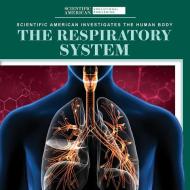 The Respiratory System di Leigh McClure edito da Rosen Publishing Group, Inc