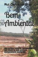 Bem Ambiental: Bem Jurídico Imaterial Representado Pelo Direito Ao Meio Ambiente Ecologicamente Equilibrado di Ru Carvalho Piva edito da INDEPENDENTLY PUBLISHED