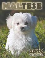 Maltese 2018 Calendar (UK Edition) di Over the Wall Dogs edito da Createspace Independent Publishing Platform